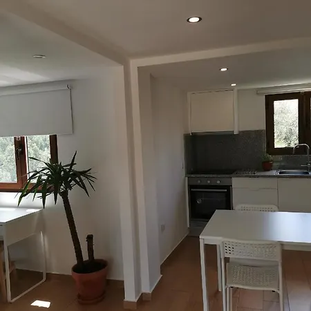 Holiday home Casa Mendes Lopes Celorico De Basto