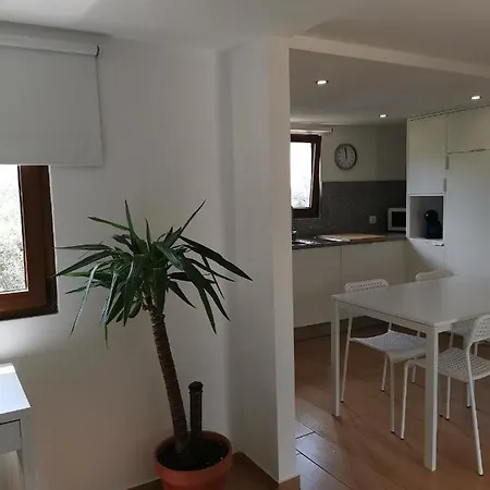 Casa Mendes Lopes *